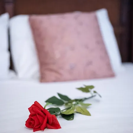 Apartament Stepup Apartment, Center Bucharest, Magheru Blvd View, Elegant