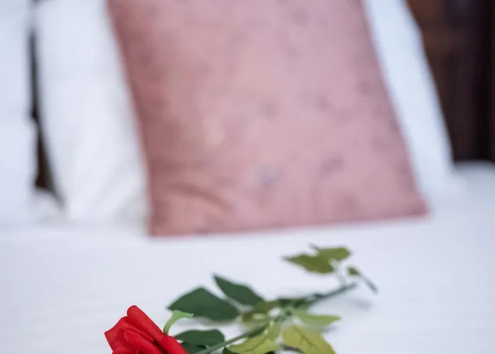 Apartment Stepup Apartment, Center Bucharest, Magheru Blvd View, Elegant